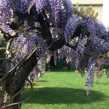 Villa Marlene B&B Albenga Eksteriør bilde