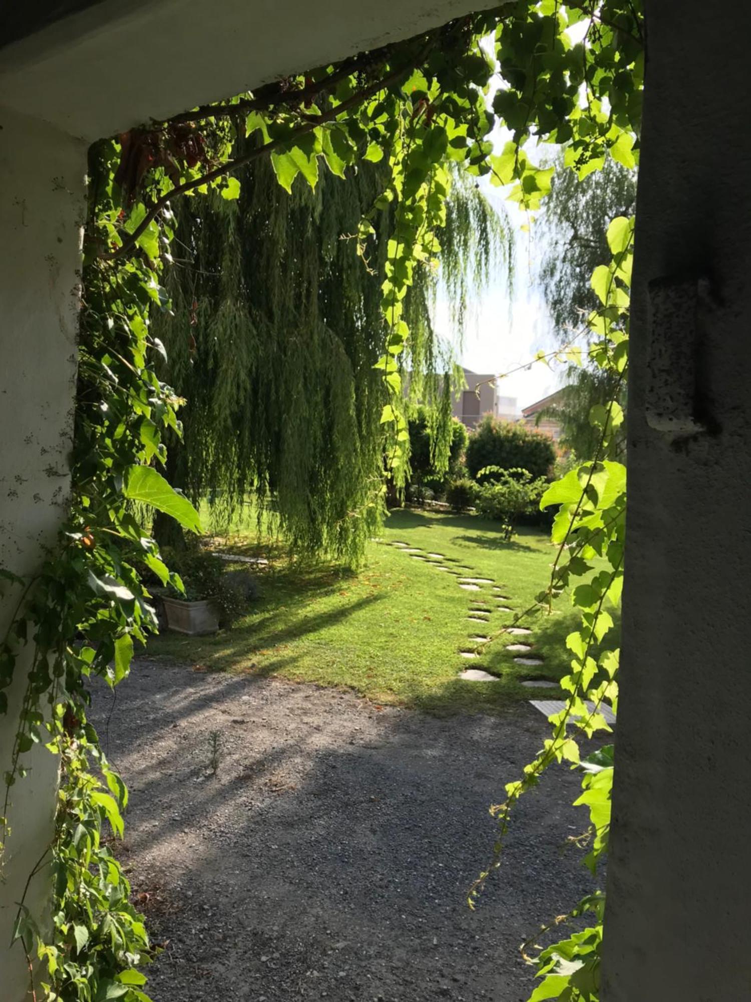 Villa Marlene B&B Albenga Eksteriør bilde