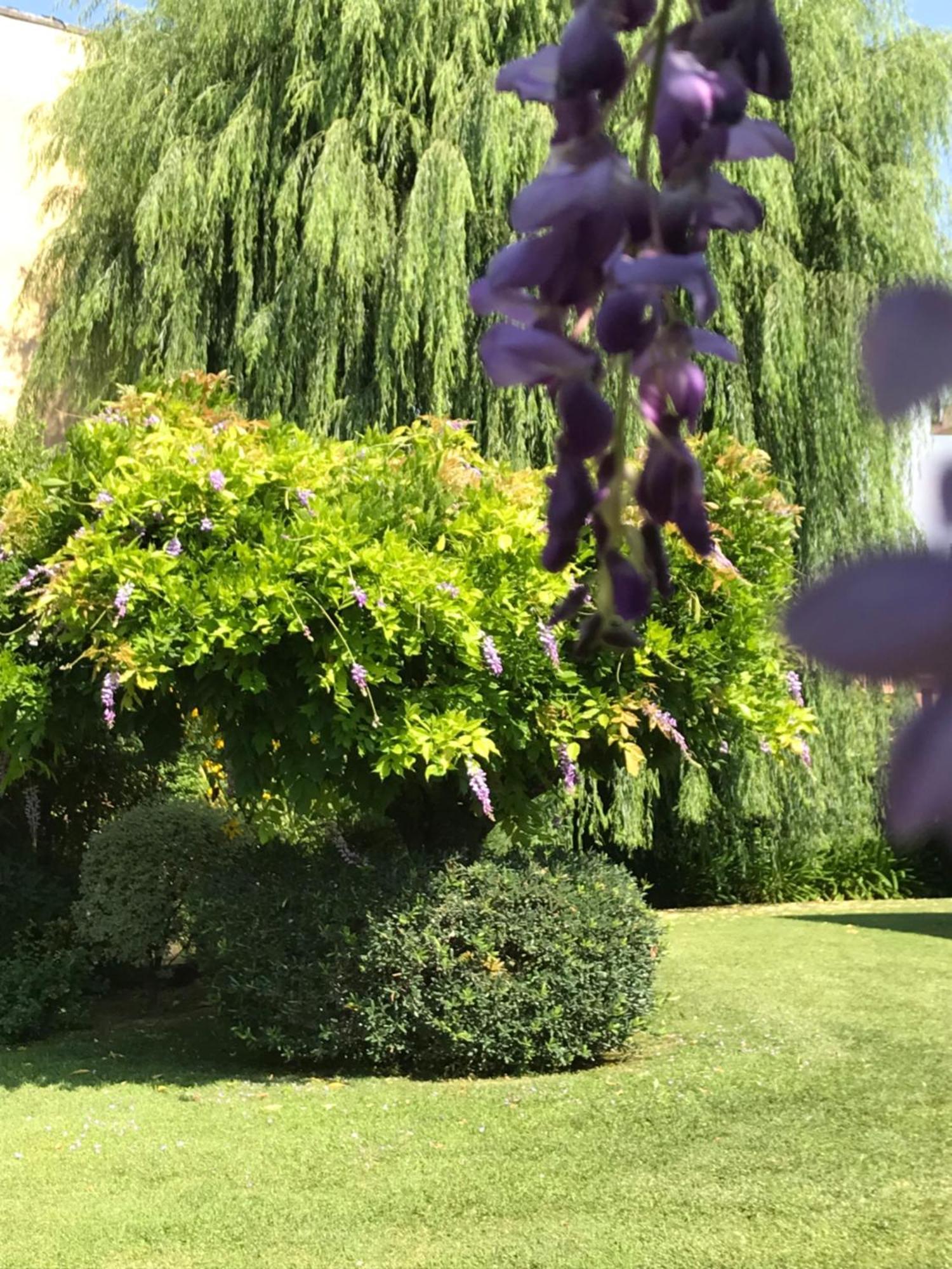 Villa Marlene B&B Albenga Eksteriør bilde